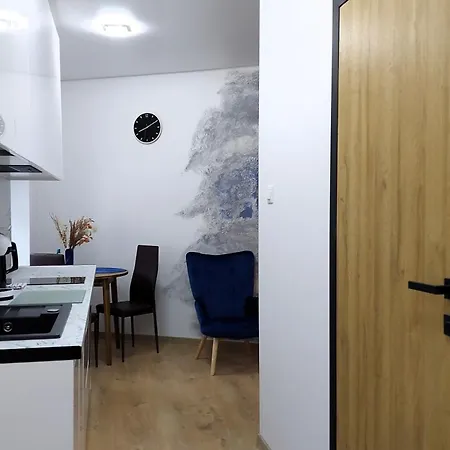 Theapartments Wojska Polskiego Lodž Pokoj fotografie